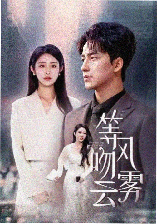 回声迷宫剧集封面