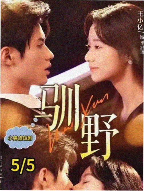 景福宫秘录剧集封面
